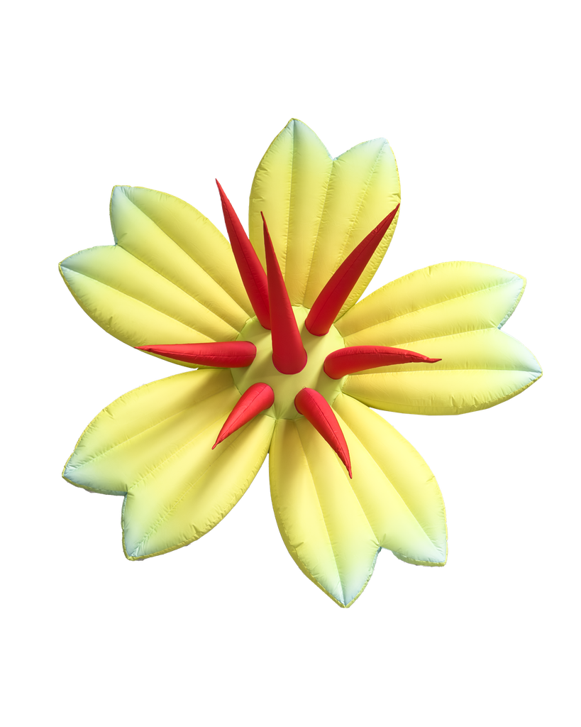 Fleur jaune 