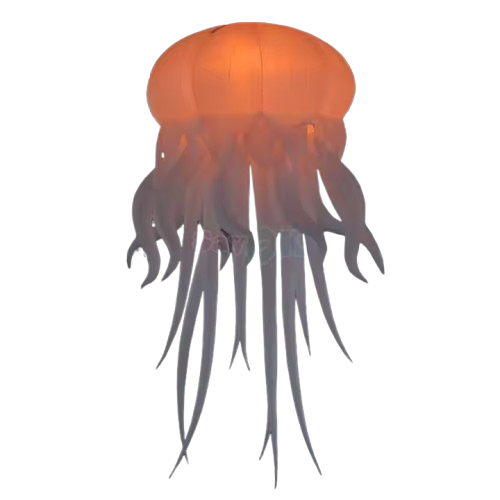 La Méduse Aurore