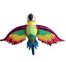 Perroquet Arc-en-ciel