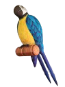 Perroquet Tropical