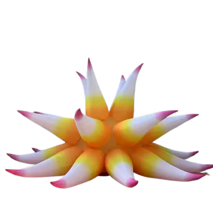 [GD7013] Fleur pointue