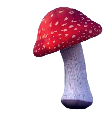 [GD7042] Champignon 