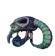 [GD7063] Crâne Cornu