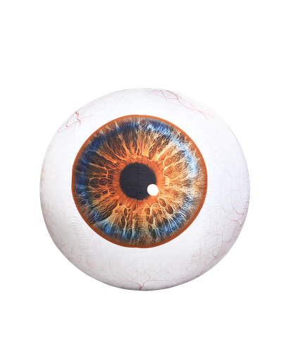 [GD7078] œil orange et bleu 