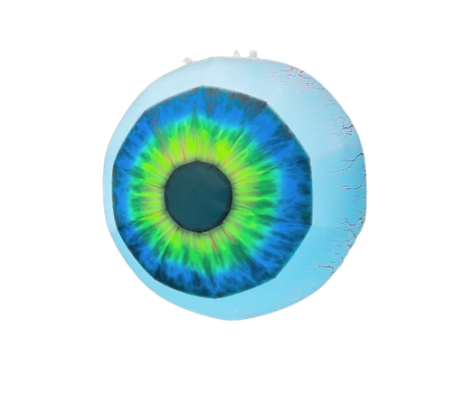 [GD7080] œil vert et bleu 